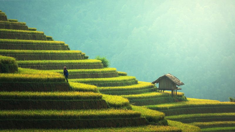 Wakacje na Bali
